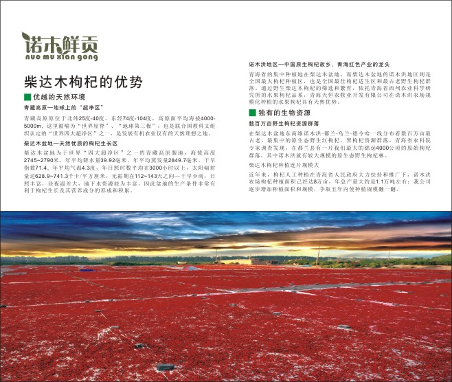 &#19975;&#35937;&#22478;&#20307;&#32946;&#45;&#19975;&#35937;&#22478;&#65288;&#20013;&#22269;&#65289;&#20844;&#21496;