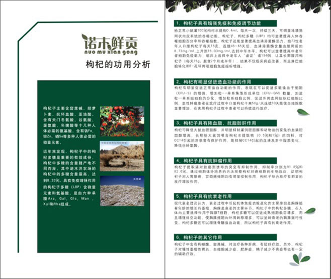 &#19975;&#35937;&#22478;&#20307;&#32946;&#45;&#19975;&#35937;&#22478;&#65288;&#20013;&#22269;&#65289;&#20844;&#21496;