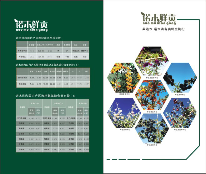 &#19975;&#35937;&#22478;&#20307;&#32946;&#45;&#19975;&#35937;&#22478;&#65288;&#20013;&#22269;&#65289;&#20844;&#21496;
